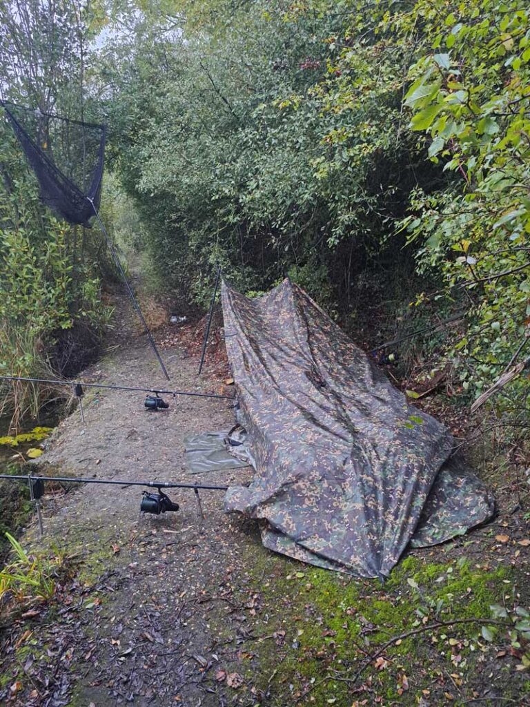 carp-tarp-3