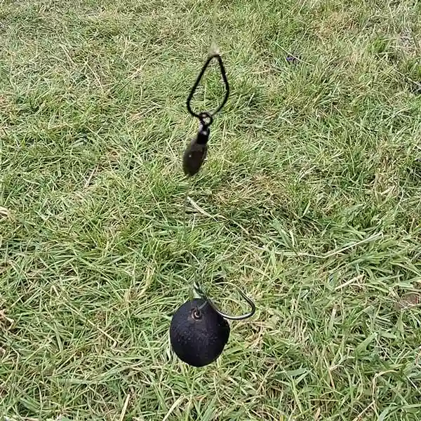 avid-rig-loops